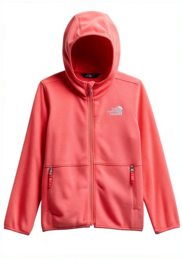 The North Face Kids Glacier Full Zip Hoodie Boys Fleece-4