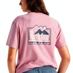 The North Face women's Explore Pin tee cotton-0